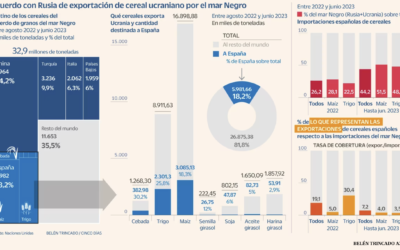 El bloqueo ruso al cereal ucraniano y la situación de sequia en España, plantean un panorama preocupante para sectores básicos en la cadena alimentaria