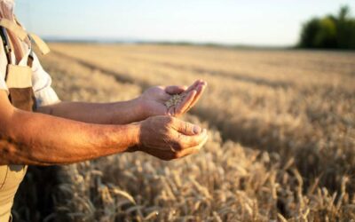 Reivindicaciones del sector primario, agrícola, ¿Cuáles son los motivos?