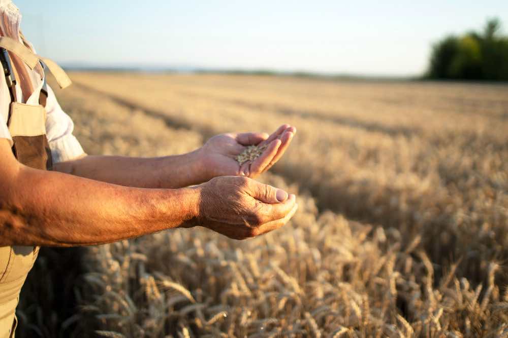 Reivindicaciones del sector primario, agrícola, ¿Cuáles son los motivos?